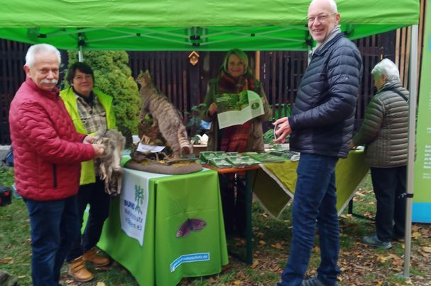 Die Wildkatze war am Holztag