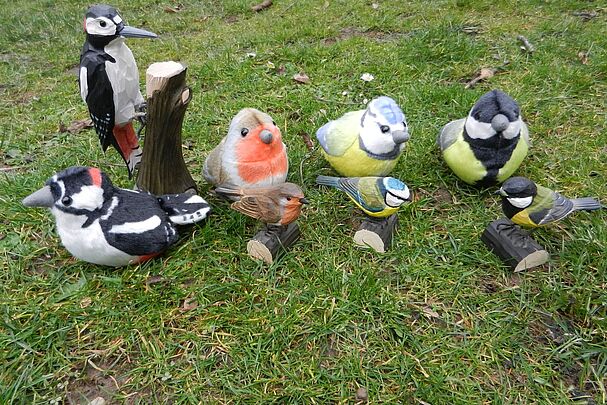 Alle Vögel sind schon da, Foto: Moni Nunn