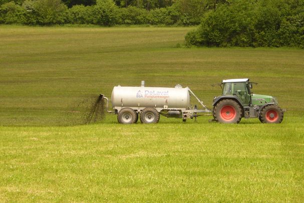 Düngung, Foto: Marion Ruppaner