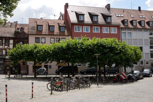 Stadtbäume in der Nürnberger Altstadt, Foto: Thomas Stephan