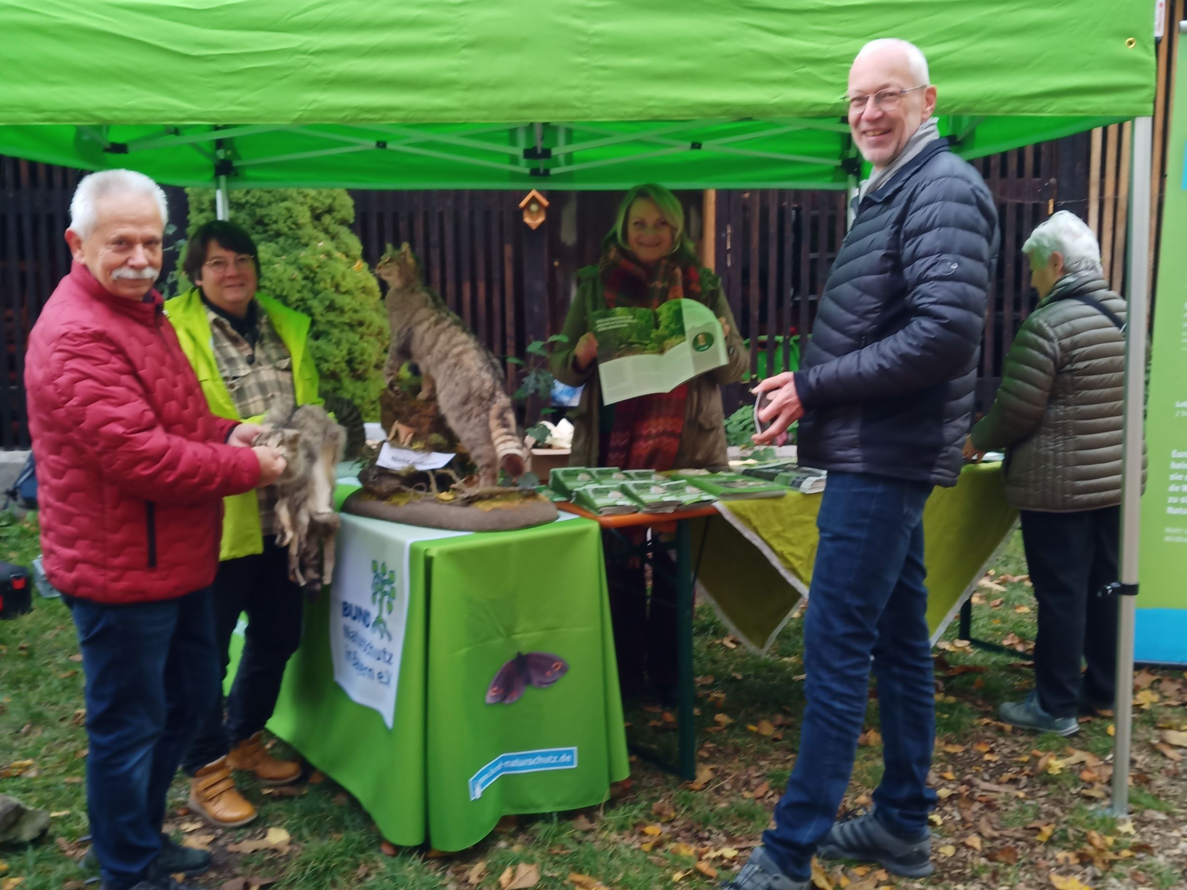 Die Wildkatze war am Holztag