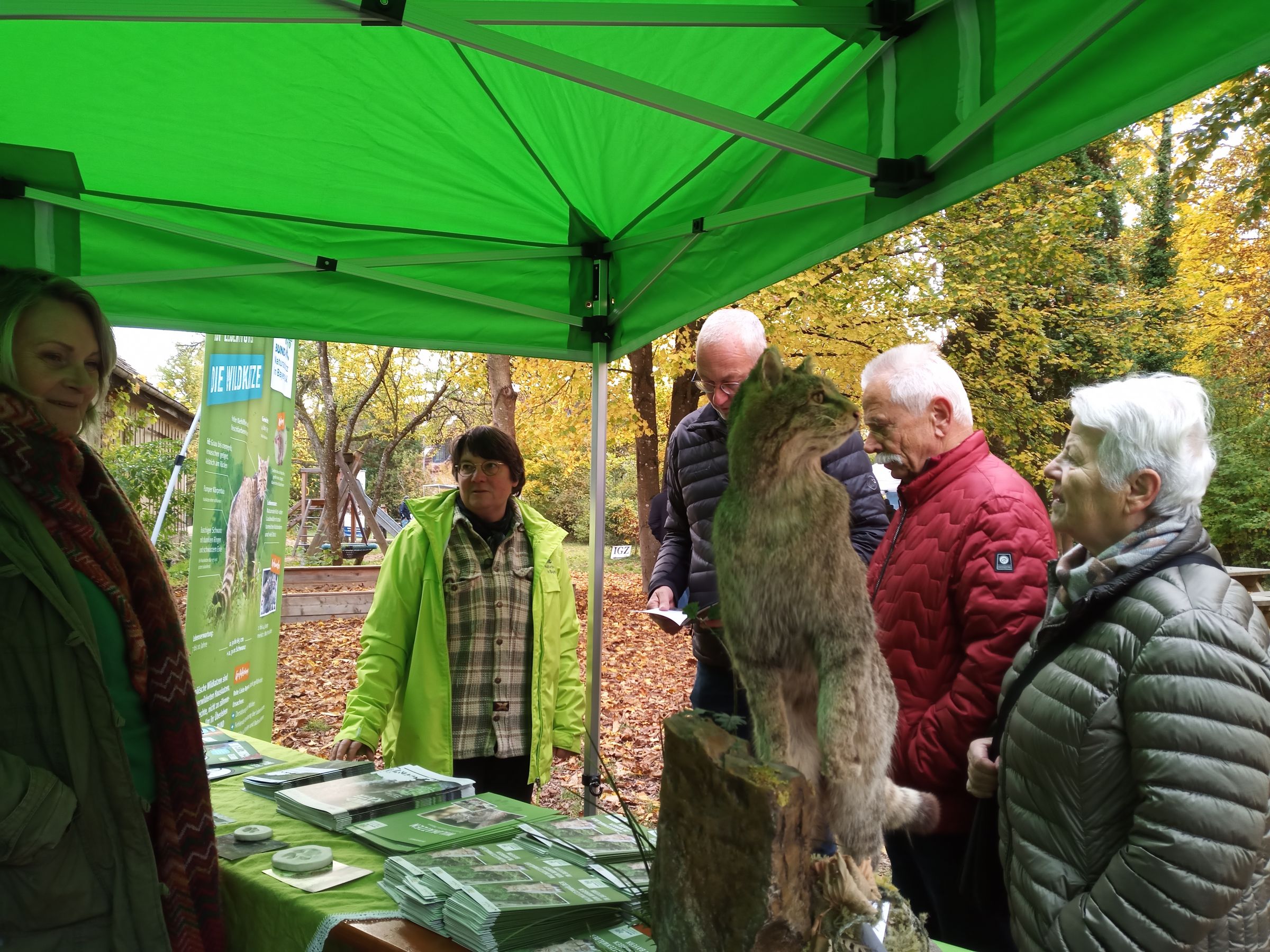 Die Wildkatze war am Holztag